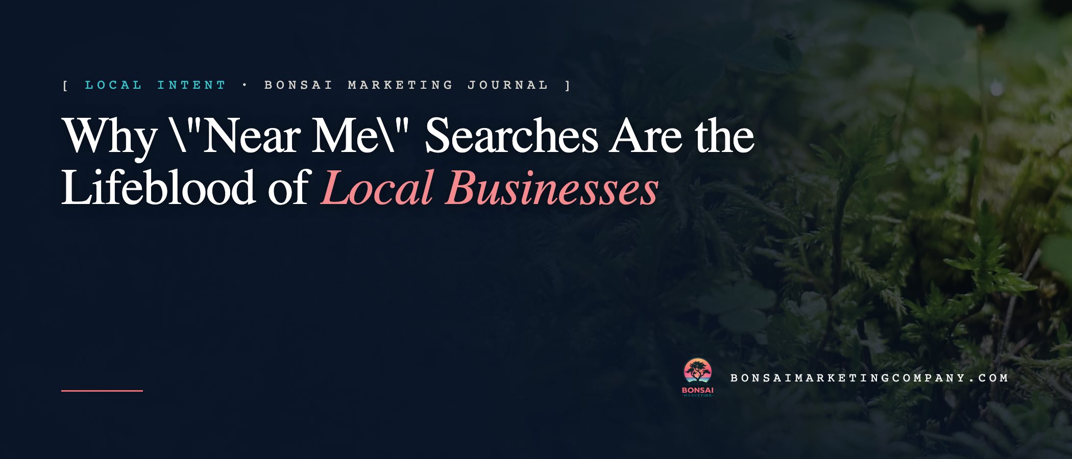Why "Near Me" Searches Are the Lifeblood of Local Businesses — Bonsai Marketing journal
