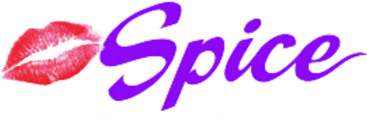 Spice Boutique logo